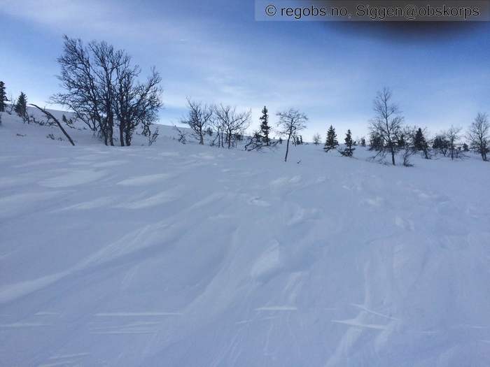 Image Of Snow Cover