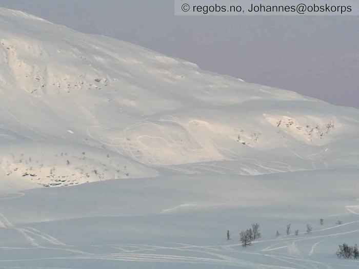 Image Of Avalanche Activity