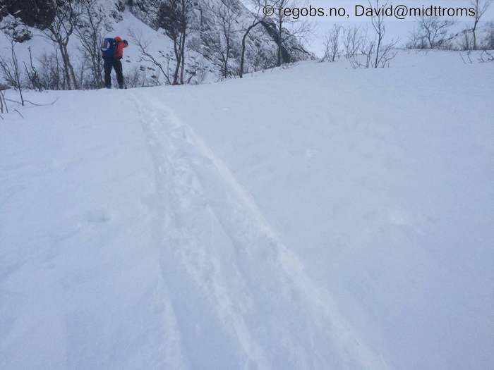 Bilde Av Snødekke