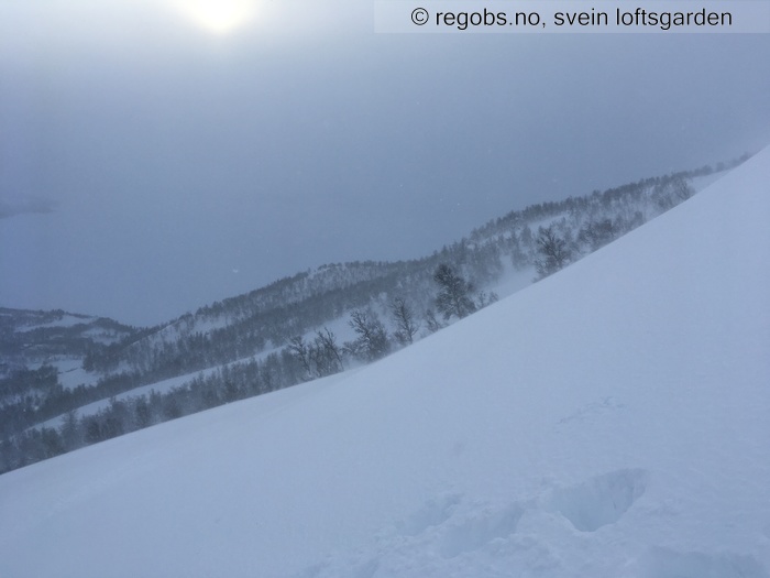 Bilde Av Snødekke