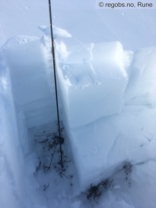 Image Of Snow Profile