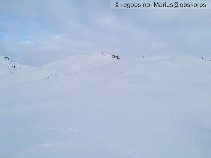 Image Of Snow Cover