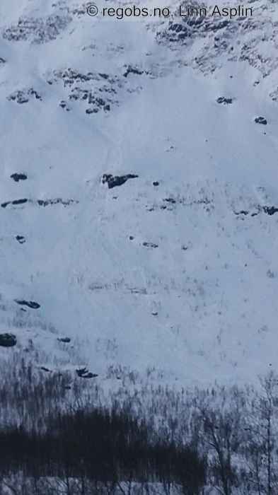 Image Of Avalanche Observation