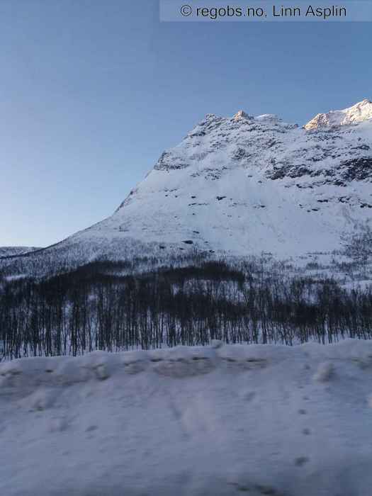 Image Of Avalanche Observation