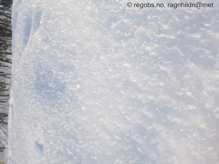 Image Of Avalanche Danger Assessment