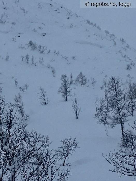 Image Of Avalanche Danger Assessment