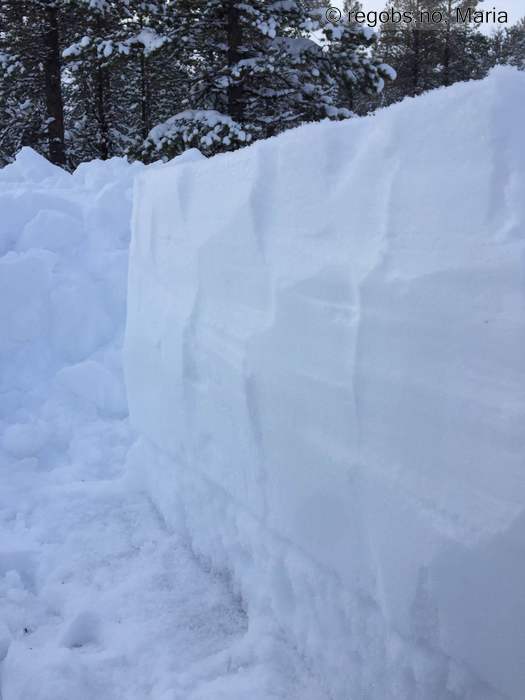 Image Of Snow Profile