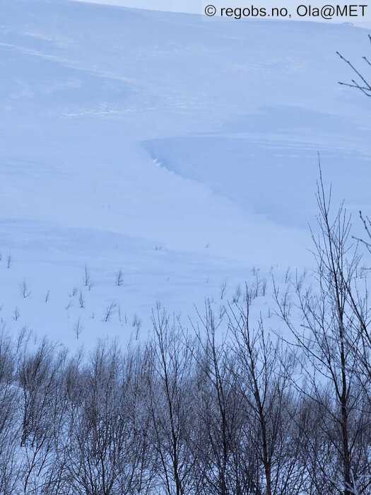 Bilde Av Snødekke