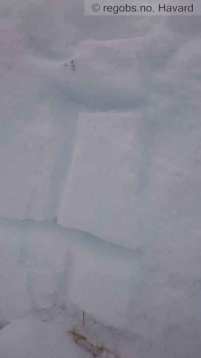 Image Of Snow Cover