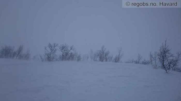 Image Of Avalanche Observation