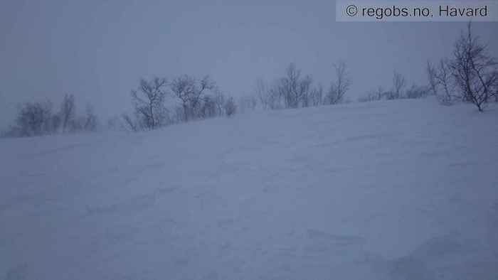 Image Of Avalanche Observation