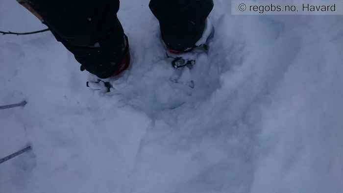 Image Of Avalanche Observation