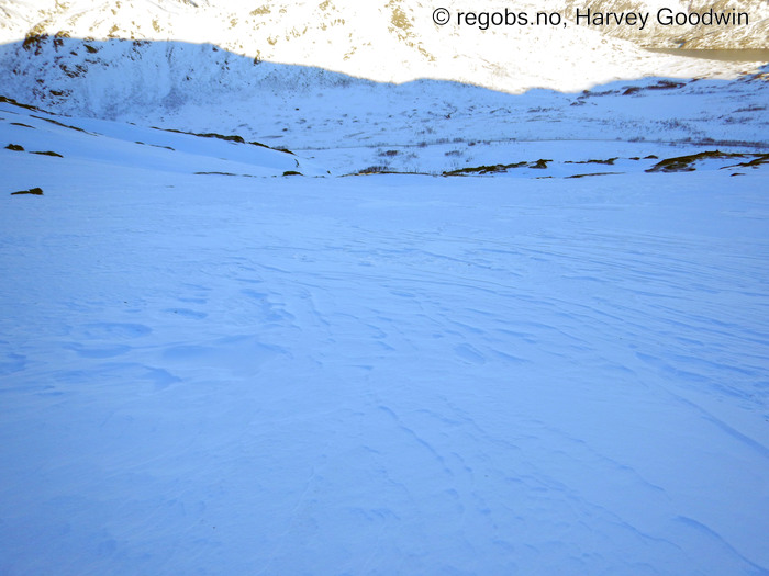 Image Of Snow Cover