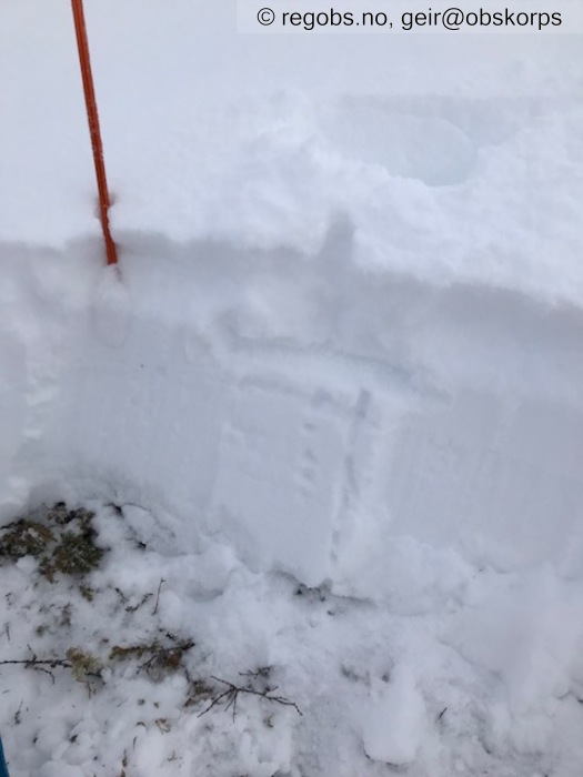 Image Of Snow Profile