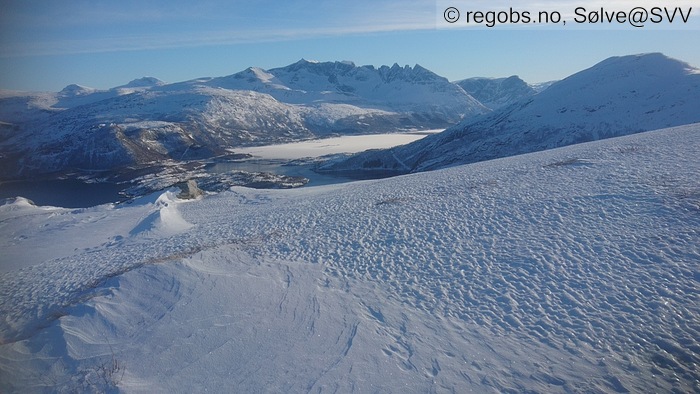 Bilde Av Snødekke