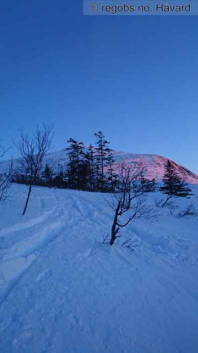 Image Of Snow Cover