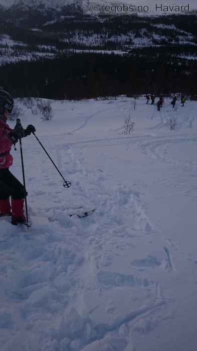 Image Of Snow Cover