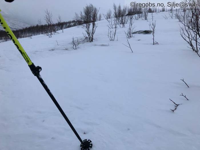 Image Of Snow Cover