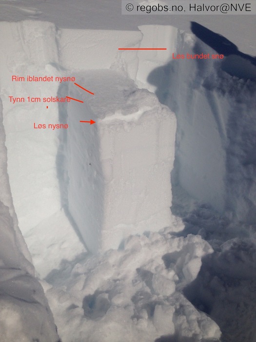 Image Of Snow Profile