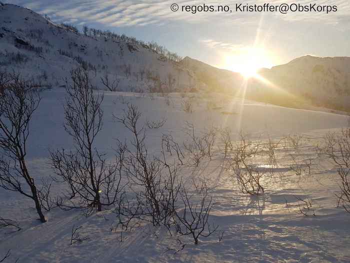 Bilde Av Snødekke