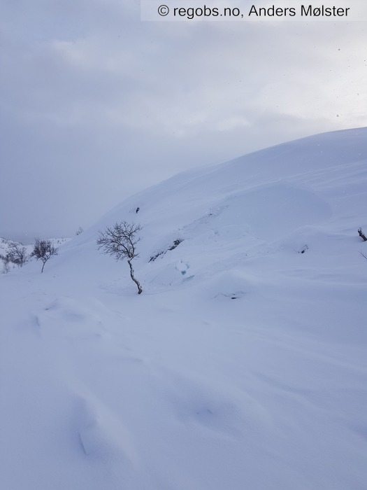 Image Of Avalanche Observation