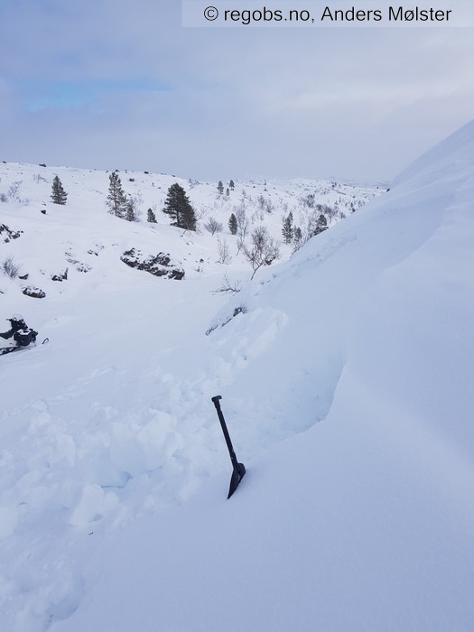 Image Of Avalanche Observation