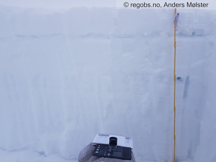 Image Of Avalanche Observation