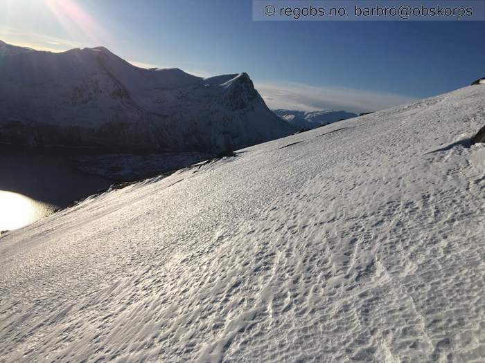 Bilde Av Snødekke