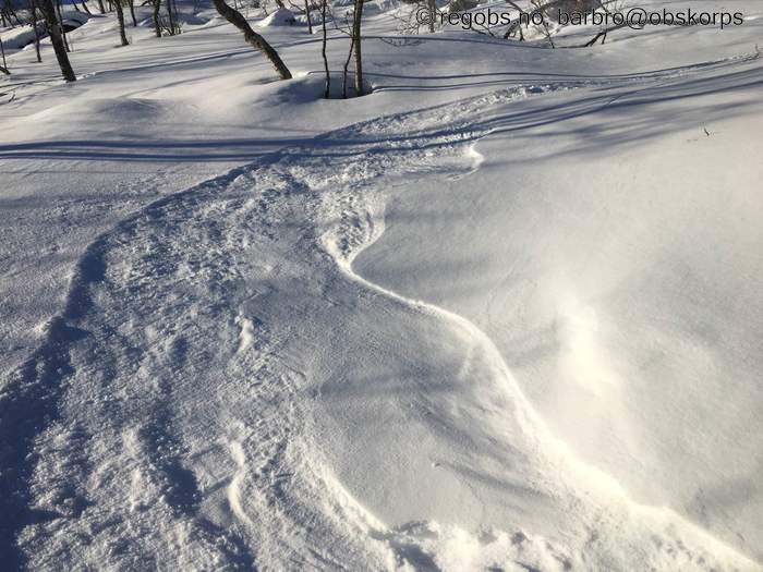 Image Of Snow Cover