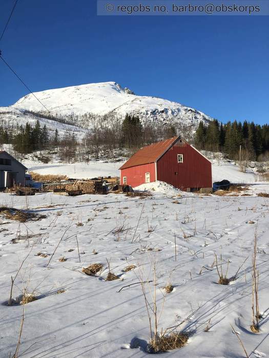 Bilde Av Snødekke