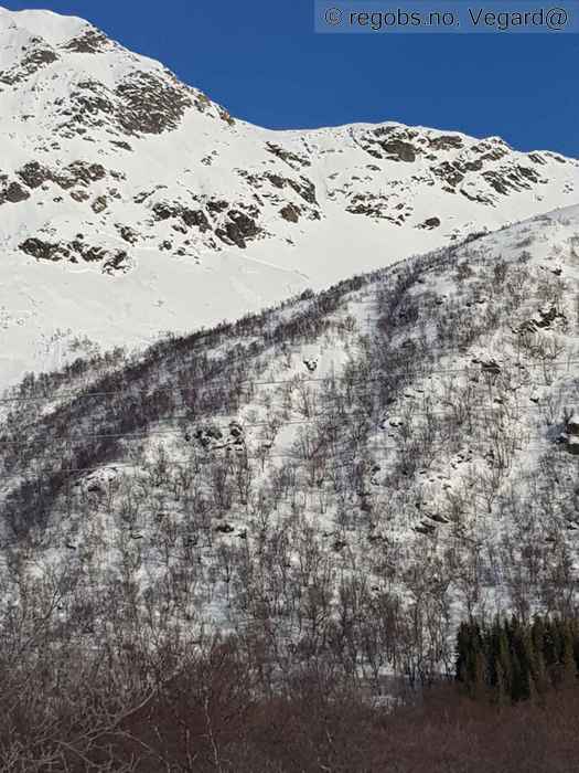 Image Of Avalanche Activity