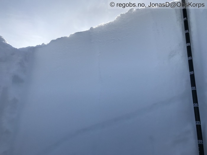 Image Of Snow Profile