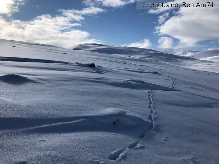 Bilde Av Snødekke