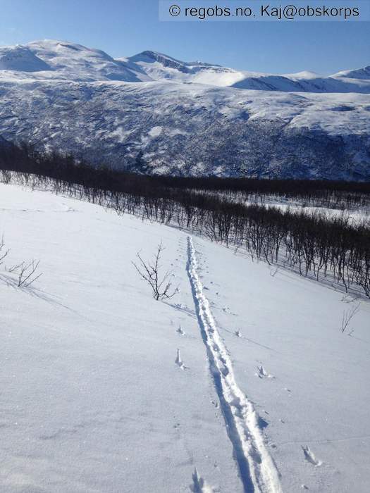 Image Of Snow Cover