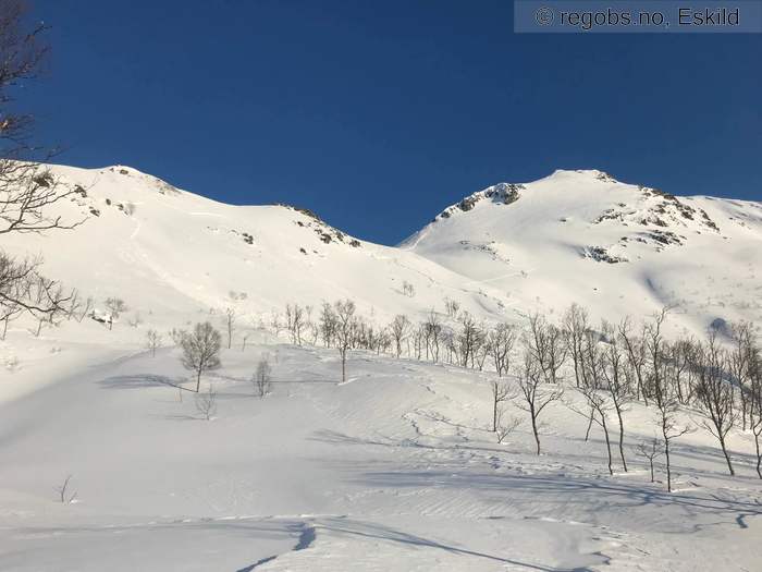 Image Of Avalanche Observation