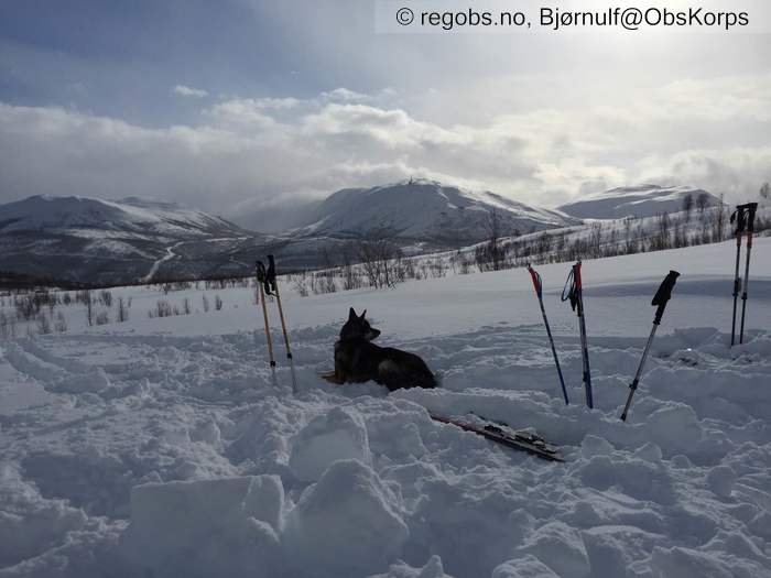 Image Of Snow Cover