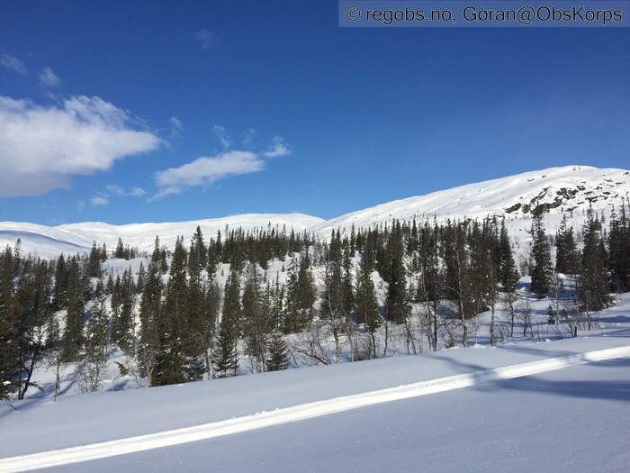 Image Of Snow Cover