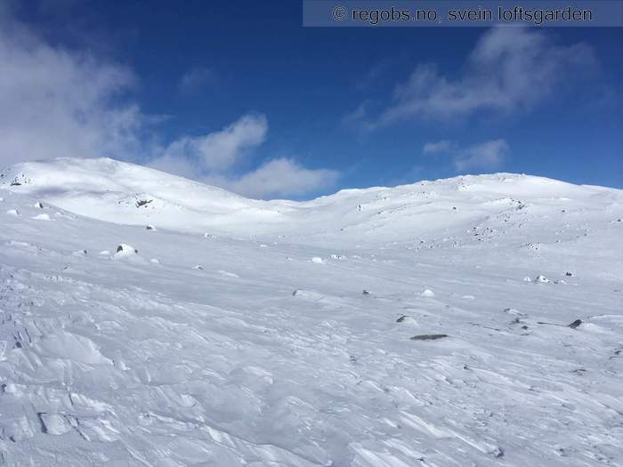 Bilde Av Snødekke