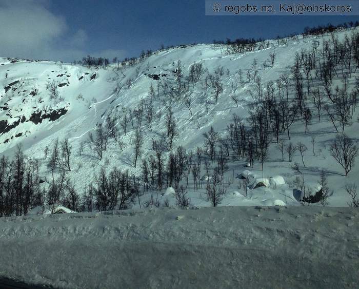 Image Of Avalanche Activity