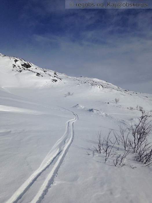 Bilde Av Snødekke