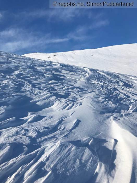 Bilde Av Snødekke