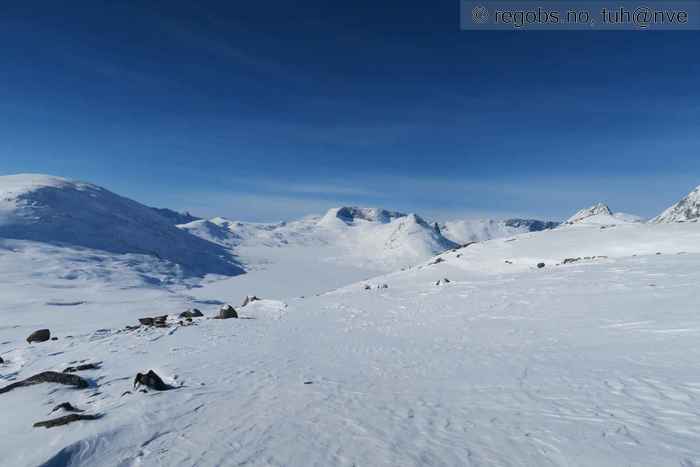 Bilde Av Snødekke