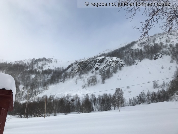 Image Of Avalanche Observation