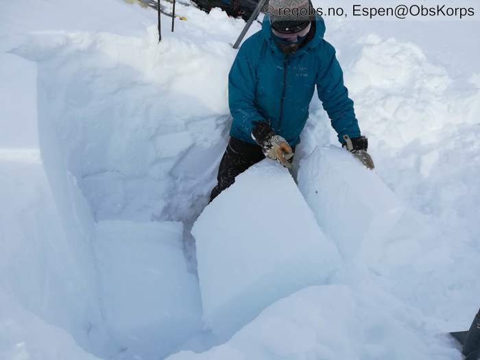 Image Of Snow Profile