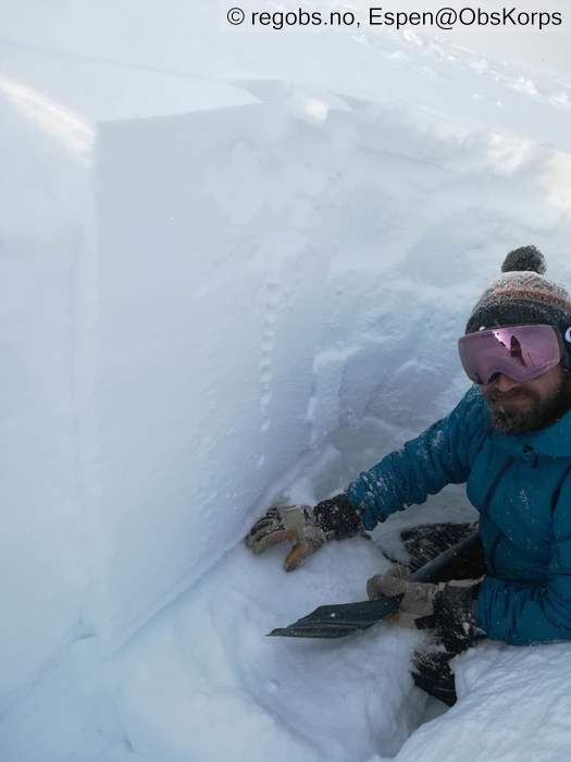 Image Of Snow Profile