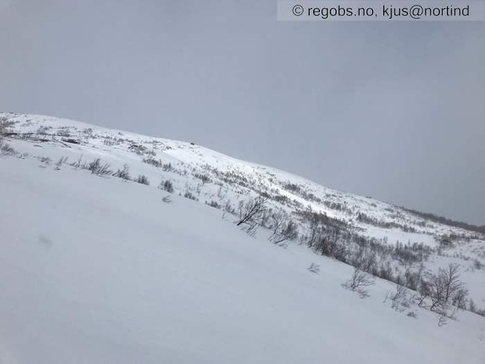 Image Of Avalanche Activity