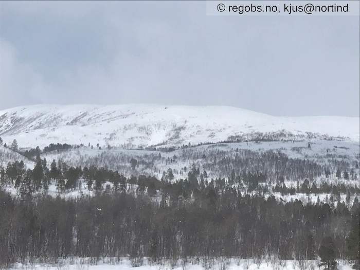 Image Of Avalanche Activity