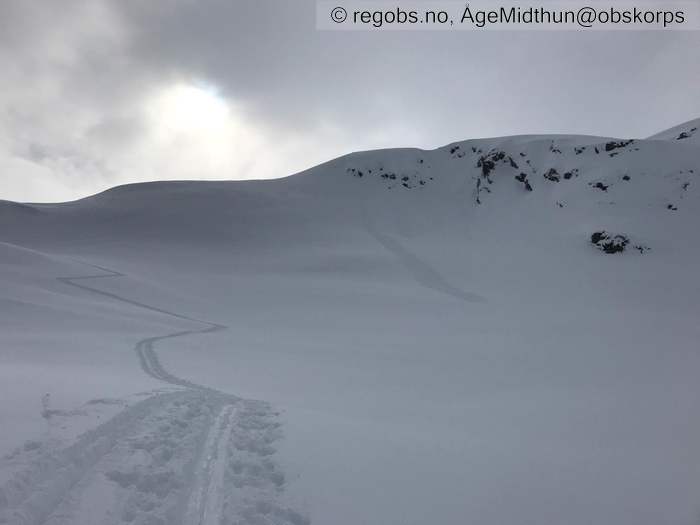 Image Of Avalanche Activity