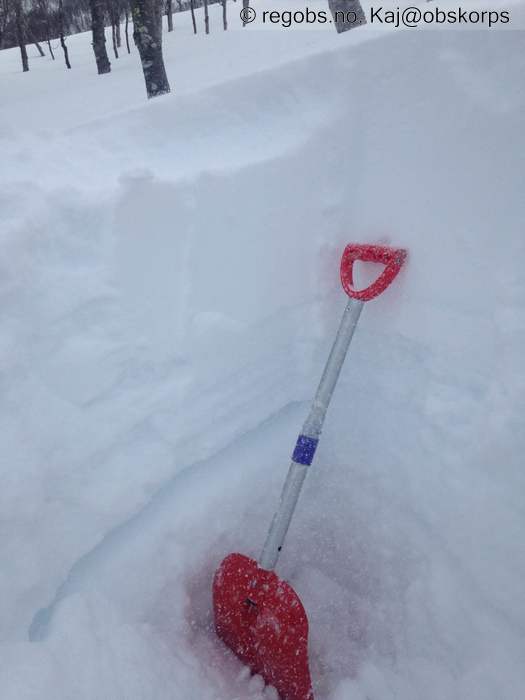 Image Of Snow Cover