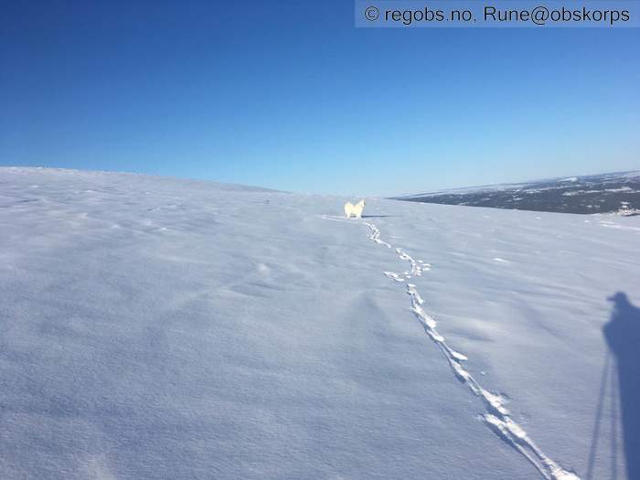 Image Of Snow Cover